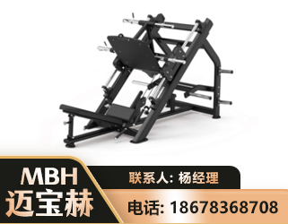 哈尔滨45°倒蹬训练器