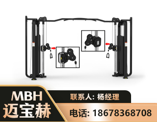 哈尔滨大飞鸟训练器